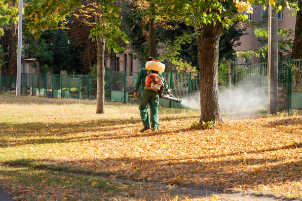 Best Pest Control Near Me  in Evansburg, PA