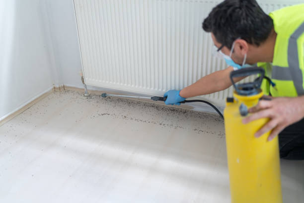 Best Ant Control Services  in Evansburg, PA