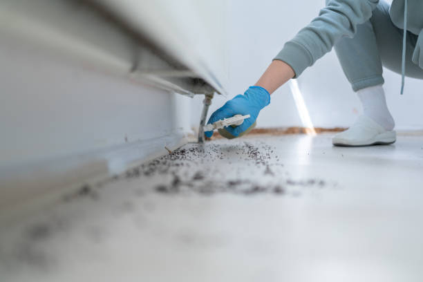  Evansburg, PA Pest Control Pros
