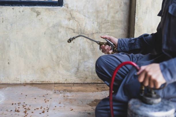 Best Pest Inspection Near Me  in Evansburg, PA